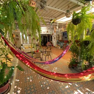 Séjour chez l'habitant Casa Linda, Santa Marta (Magdalena)